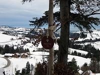 6. Dezember 2009 - winterlicher Blick Richtung Bodensee